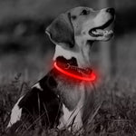 Super Bright Fashion LED Dog Glowing Collar