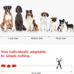 Super Bright Fashion LED Dog Glowing Collar